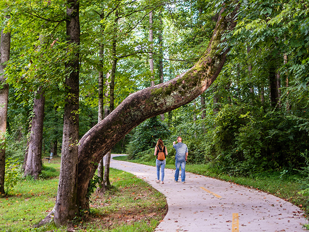 two pelple walking on a paved path ina wooded park