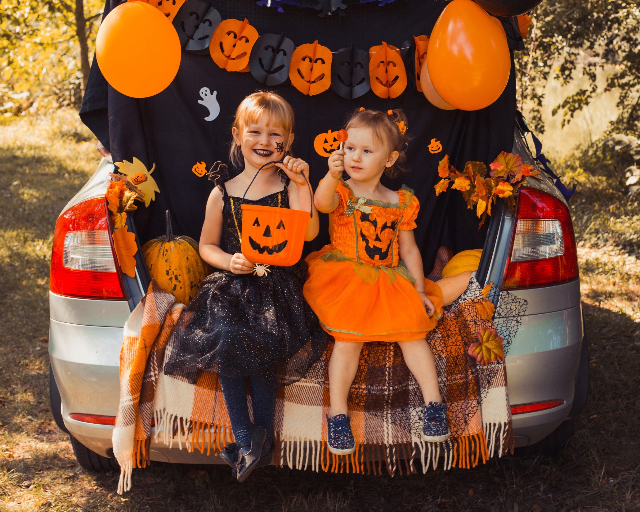 Fall Family Nights