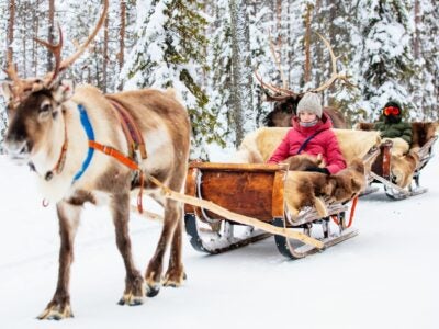 Take your picture with Reindeer at Cocoa & Claus.
